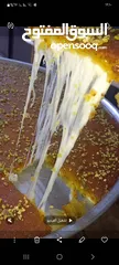  1 حلويات الشيف خالد