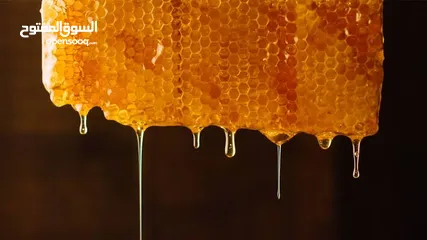  3 Pure Honey , العسل النقي