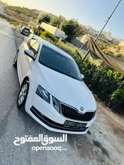  1 اكتافيا ترخيص 2019 دهان شركة كرتونة حمامة بيضاء