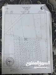  1 قطع أراضي للبيع في روضة الأمير علي بن الحسين