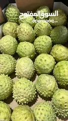  3 مشروع تجاري مربح بحاجه لتمويل