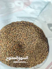  2 اكل قطط نفل الكيلو بس دينارين و ايطالي كمان و تاريخ بعيد