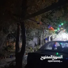  11 بيت مكون من غرفتين + صاله خارجيه+ صاله داخليه +مطبخ +حمام