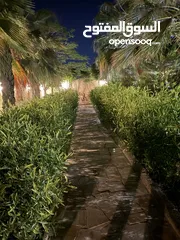  7 مزرعة نخيل مجهول + شاليه مودرن للبيع