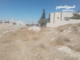  1 من المالك ارض في شفا بدران حوض المقرن 2