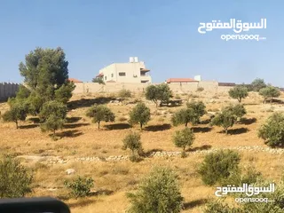  1 ارض للبيع للجادين