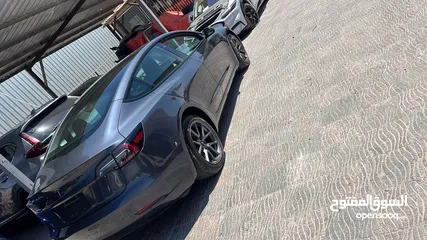  6 تيسلا موديل 3 لون فيراني ...2023 standard  plus  حرة
