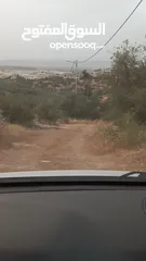  1 ارض في حرش السعادة