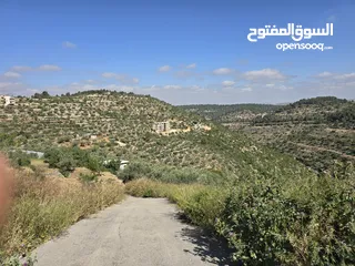  3 للأستثمار ارض مساحه 5000 متر خمسه دنم واصلهم  خدمات وسط الجبل كل دنم كوشان مفصول السعر لقطه