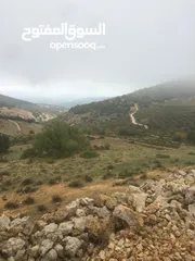  25 فرصة استثمارية! أرض زراعية مميزة بسعر مغري و بالقرب من أحراش الدولة للمزيد من المعلومات اقرأ الوصف