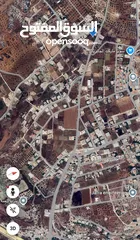  1 أحمد نوباني