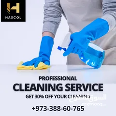  3 Professional Cleaning & Pest Control Service Of House/Villa/Flat/Office/Shop/Warehouse/Restaurant