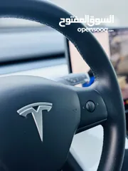  15 Tesla Model 3 standard plus