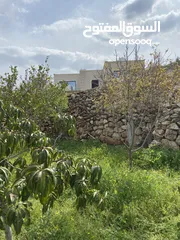  14 بيت ريفي مع مزرعة