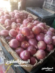  4 ابراهيم العلكمي لبيع جميع انواع الخضروات والفواكه جمله وتجزئه