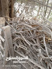  21 تشكيلة حطب للبيع