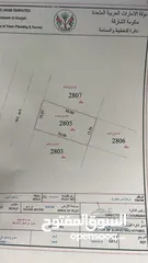  1 ارض سكنية مميزة في بساتين الزبير