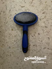  10 فرينش تيرير  صغير وذكي للبيع - عمره 4 شهور