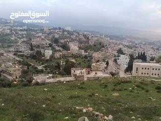  1 فرز جديد أجمل ارض في عجلون مرتفعه على جبل ومطله على جبال عجلون لغايات السكن / فلل / اسكانات