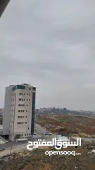  5 روف بسردا بسعر مرتب