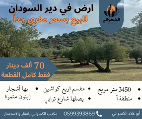  1 ارض مساحة 3450 متر مربع في دير السودان بسعر مغري