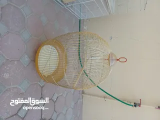  2 اقفاص للعصافير - Bird cages