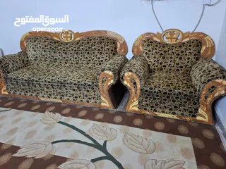  2 تخم قنفات 10 قطع