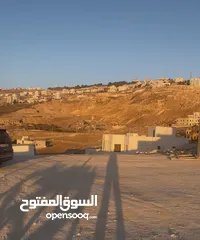  4 قطعة أرض للبيع صافوط ام مرهف الجنوبي