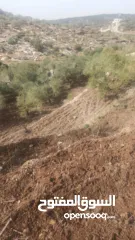  2 ارض على طريق بلعا دير الغصون قبل مفرق اكتابا