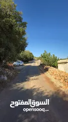  6 مزرعه 2 دونم مزروعه موقع مميز جدا  من مالك مباشر