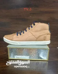  8 شروه احذية 60 جوز اصلي اوروبي منضف معقم جاهز للبيع