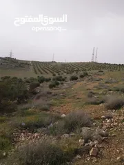  12 3600م للبيع رحاب بني حسن مرتفعه ومطله ع طريق اريد الزرقاء من المالك مباشره