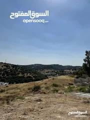  5 قطعة ارض مميزة للبيع في منطقة دابوق