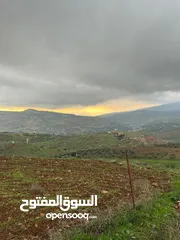  8 للبيع منبسطه واصل الخدمات اطلاله رائعة منطقة مزارع وشاليهات فخمه.