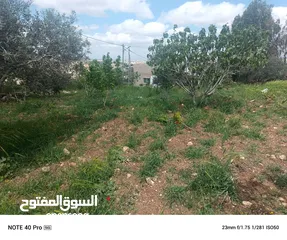  2 ارض للبيع حبكا المزار الشمالي اربد