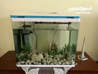  1 Aquarium in very good condition