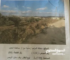  2 ارض للبيعة مساجة 729 متر