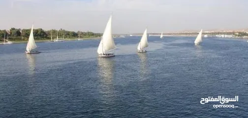  1 شقه على النيل مباشر 4 غرف