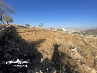  9 ارض للبيع في واد رحال
