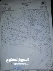 7 بيت مع ارض
