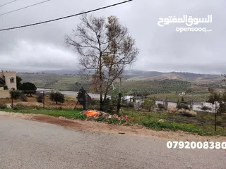  12 ي بلاش قطع مرتفعة مشجره جاهزه ومخدومه مجاوره للاحراش والغابات منطقة ام بطيمه قرب ترخيص جرش واتستراد