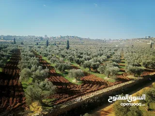  12 الارض والبيت المستقل للبيع