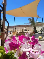  2 مظلات شراعية