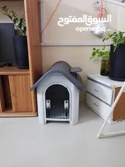  1 Dog ot cat house