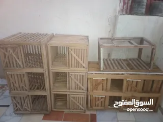  12 8 تجواز حمام للبيع شقلباز و هزاز و كرازلي و 3 مناير 3 عين و 6ببضات