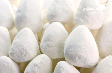  1 سمنة بلدية / جميد / جبنة بلدية