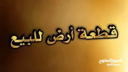  2 قطعة ارض في الكحيلي خلف مسجد الكحيلي مساحة 5 هكتار ملك مقدس على الطريق الرئيسي للبيع