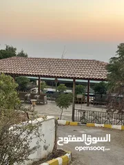  9 مزرعة للإيجار للعائلات فقط في عمان,تركي مطلة على البحر الميت و الضفة الغربية