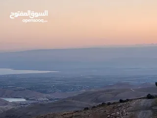 9 ارض في منطقة عراق الامير تحديدا ام المدارس