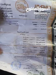  3 تنك ماء صالح للشرب